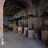 Burgio_2009 (449)